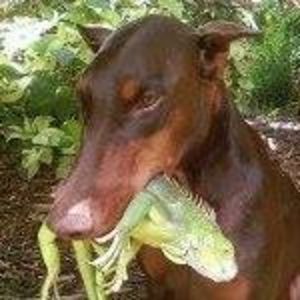 Meet your Posher, Colleen